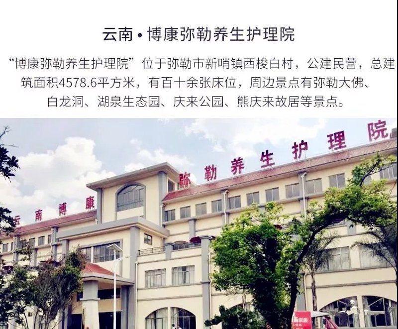 980元建网站:轻松跨越互联网门槛的利器