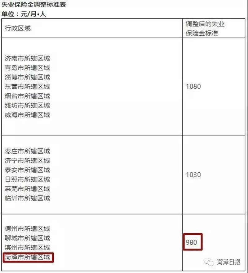 企业网站模板:定制化与灵活性的双重考量